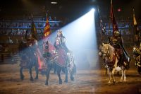 Medieval Times Dinner Show